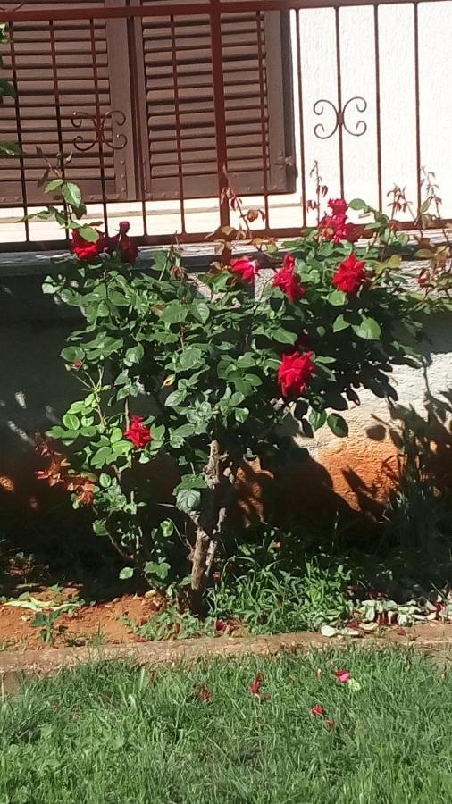 Apartment Vesna For 2, Free Parking And Wi-Fi Πούλα Εξωτερικό φωτογραφία